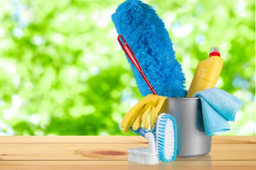 Local window cleaning service for E3 residential and commercial properties