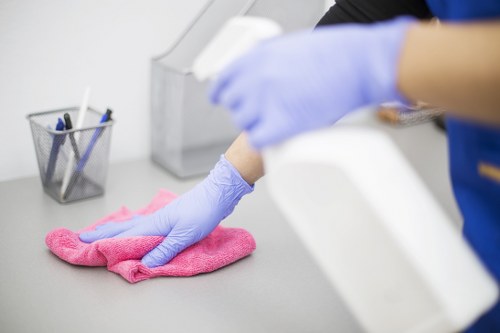 Professional oven cleaning service for homes in E3