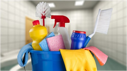 Carpet Cleaners E3 modern slavery statement introduction image