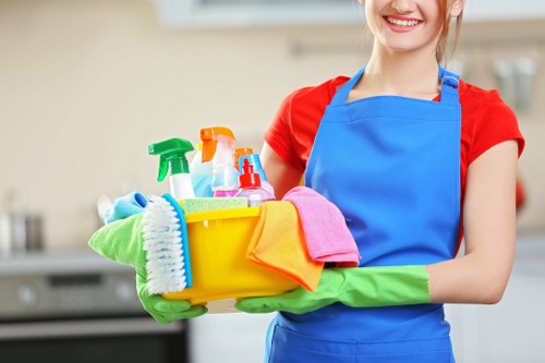 Professional domestic cleaner preparing a kitchen clean
