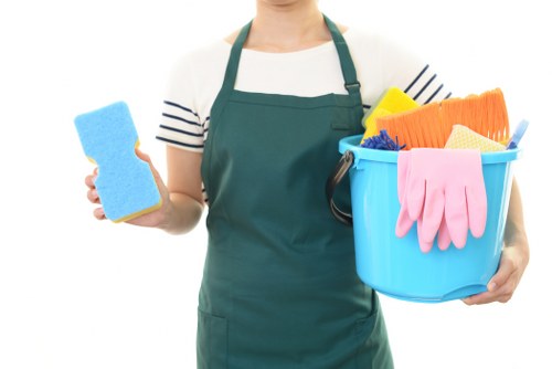 Professional hard floor cleaning for homes and businesses in E3