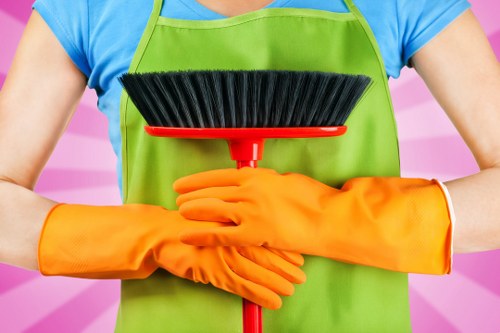 Gutter cleaning service for E3 homes and roofs