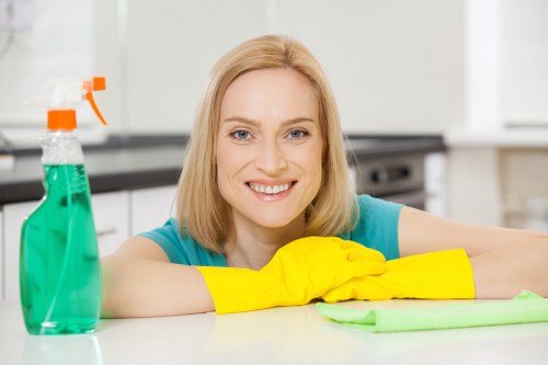 Local E3 cleaners performing a thorough bathroom deep clean and descaling