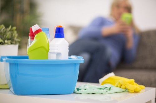 Preparation and aftercare for pet stain odour removal service