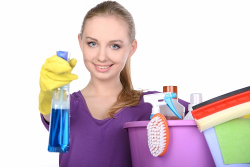 Upholstery and carpet pet stain cleaning in East London property